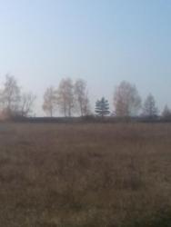 post-11786-0-00221300-1413747210_thumb.j