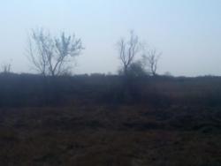 post-11786-0-30385300-1413747400_thumb.j