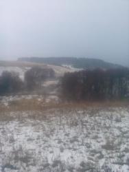 post-11786-0-90715900-1413985785_thumb.j