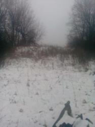 post-11786-0-93917400-1413986119_thumb.j