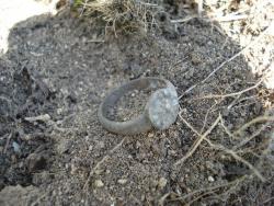 post-12373-0-25777200-1413204217_thumb.j