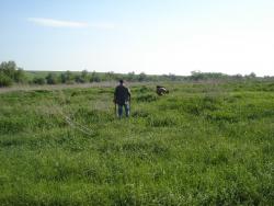 post-12373-0-38949000-1413203765_thumb.j