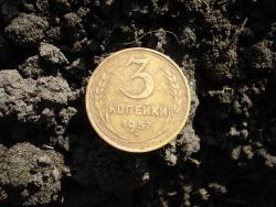 post-12373-0-40567800-1413205851_thumb.j