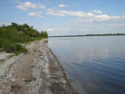 post-12373-0-42820800-1413455485_thumb.j