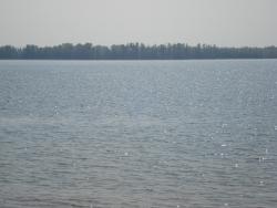 post-12373-0-43999800-1413718428_thumb.j