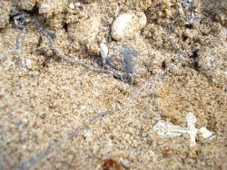 post-12373-0-48867400-1413718653_thumb.j