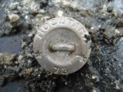 post-12373-0-50855700-1413455899_thumb.j