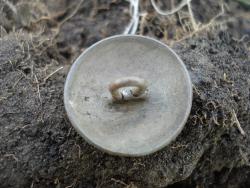 post-12373-0-72884100-1413205403_thumb.j