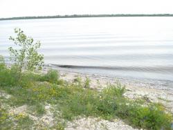 post-12373-0-85411100-1413455511_thumb.j