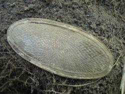 post-12373-0-85413300-1413205503_thumb.j