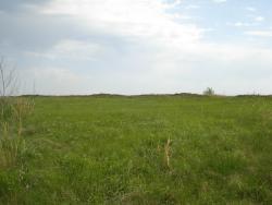 post-12373-0-93047000-1413204916_thumb.j