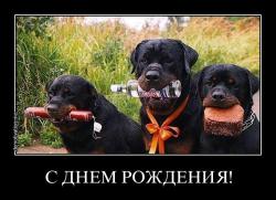 post-16248-0-11694500-1414726758_thumb.j