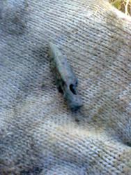 post-17557-0-16057600-1413129558_thumb.j