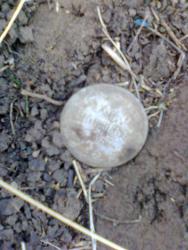 post-17557-0-45717600-1413129412_thumb.j