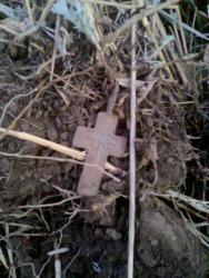 post-17557-0-50173700-1413129577_thumb.j