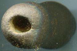 post-19676-0-83058100-1412403212_thumb.j