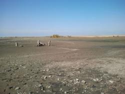 post-20472-0-22801700-1412938433_thumb.j