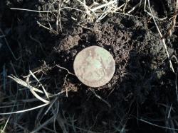 post-20472-0-60677300-1412938673_thumb.j