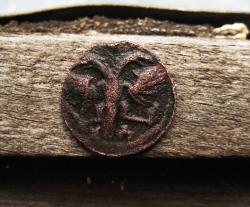 post-23552-0-74417200-1413879596_thumb.j