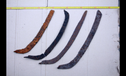 post-26309-0-03910400-1413519487_thumb.p