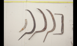 post-26309-0-91510700-1413519531_thumb.p