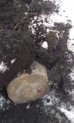 post-26894-0-48088900-1413540472_thumb.j