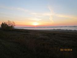 post-27143-0-63365700-1412435957_thumb.j