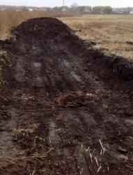 post-27434-0-13677900-1413468200_thumb.j