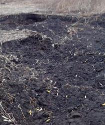 post-27434-0-84710900-1413469397_thumb.j