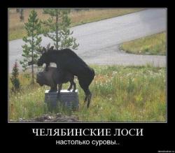 post-27784-0-35072200-1413800453_thumb.j