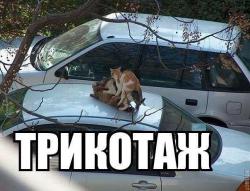 post-27784-0-46762600-1414587436_thumb.j