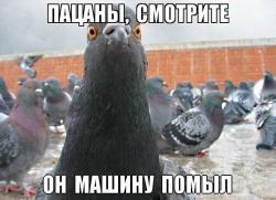 post-27784-0-63269000-1414587424_thumb.j