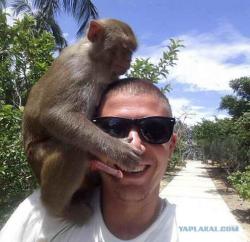 post-27784-0-66301000-1414503428_thumb.j