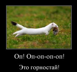 post-27784-0-76880400-1414752970_thumb.j