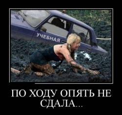 post-27784-0-94943800-1414752990_thumb.j