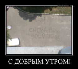 post-27784-0-98483800-1414752963_thumb.j