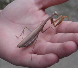 post-28141-0-52208500-1412857153_thumb.j