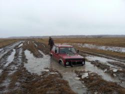 post-28868-0-78845200-1414307245_thumb.j