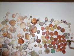 post-29378-0-07780900-1412605631_thumb.j