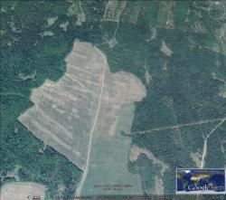 post-29574-0-84013000-1413370247_thumb.j