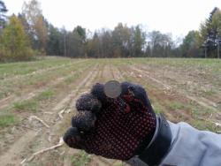 post-29721-0-05274400-1413150237_thumb.j