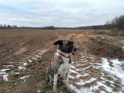 post-29721-0-53918900-1414437882_thumb.j