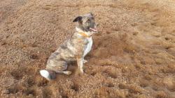 post-29721-0-58965000-1413488188_thumb.j