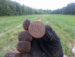 post-29721-0-92355300-1413588859_thumb.j