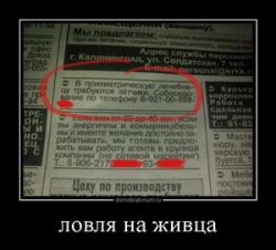 post-31244-0-26263700-1414506380_thumb.j