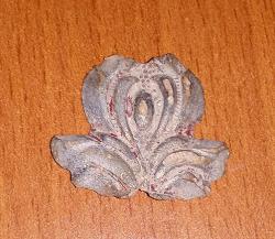 post-31504-0-84632000-1414098775_thumb.j