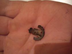 post-32140-0-77825900-1412598902_thumb.j