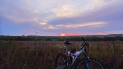 post-32197-0-09776100-1412250614_thumb.j