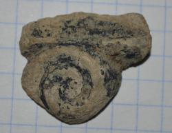 post-32246-0-47584000-1413999288_thumb.j