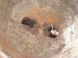 post-32264-0-18585700-1414775797_thumb.j